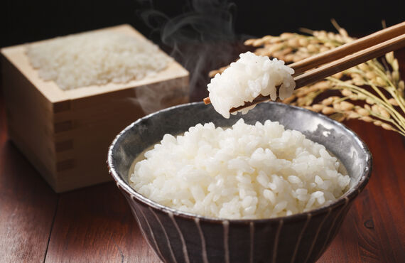 伊勢神宮由来の上質な減農薬のお米を便利なパックでお届け | 通販で日本の食品を販売している供TOMO(トモ)
